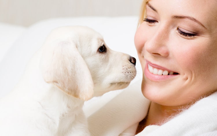 Donner un nom original à son chien