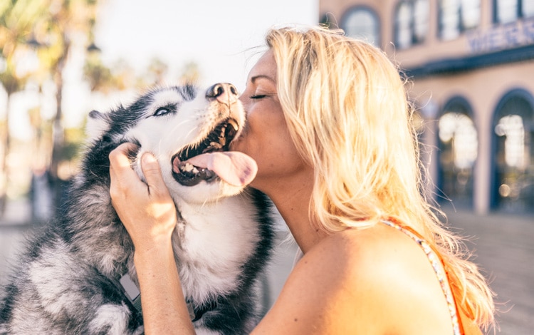 Maladies, parasites et vers du chien transmissibles à l’homme