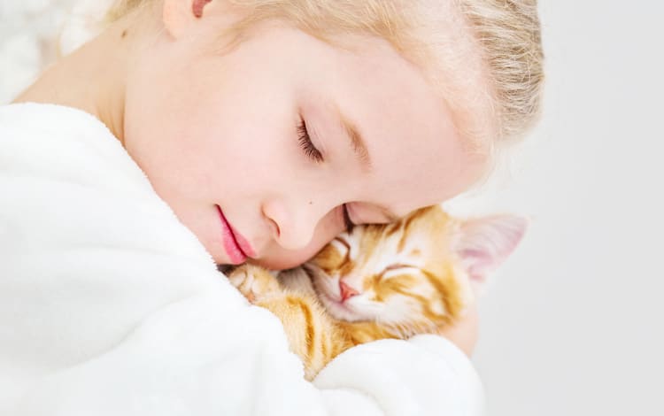 Comment bien choisir son chat