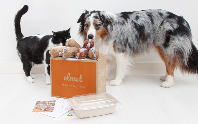 Avis vétérinaire sur Elmut pour chat et chien