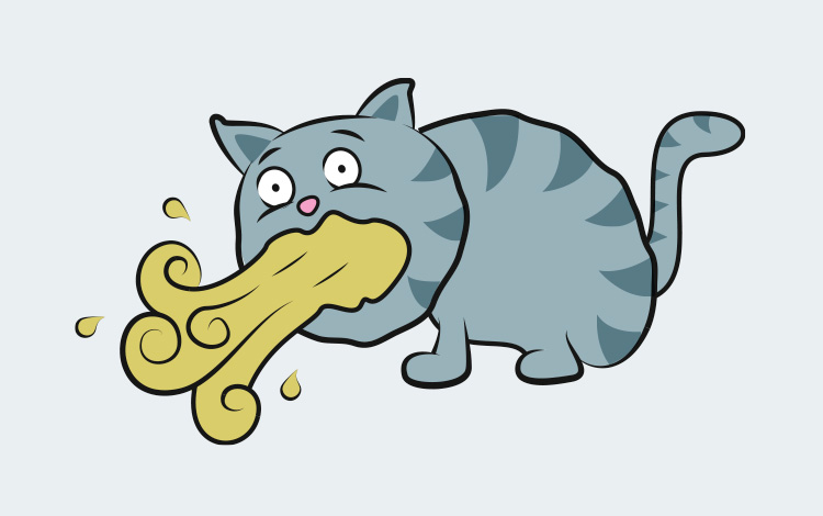 Symptômes et traitement du chat qui vomit