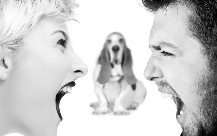Le chien est un enjeu pour la vie de couple