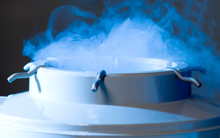 cryoconservation des chats ou chiens décédés