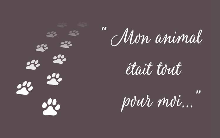Décès et deuil de son chien ou chat