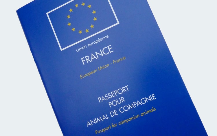 Carnet de vaccination et document administratif du chat et du chien