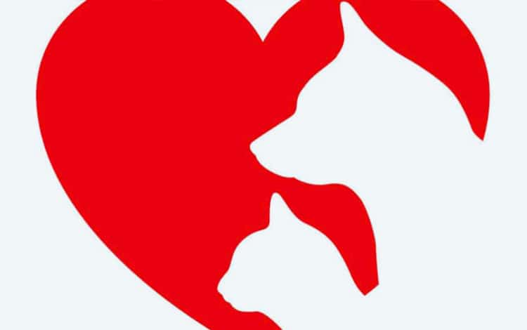 Don du corps de son chat ou chien à la science