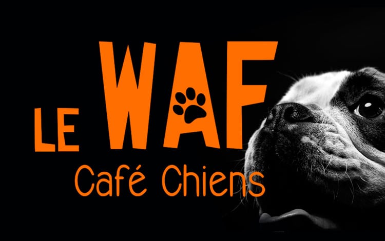 Le WAF Café pour chiens