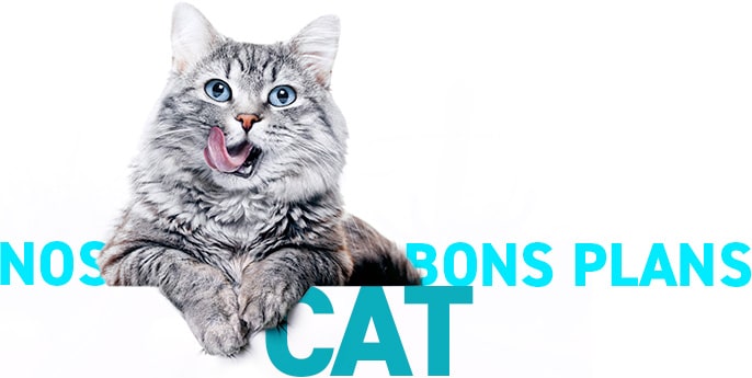 Code promo alimentation du chat