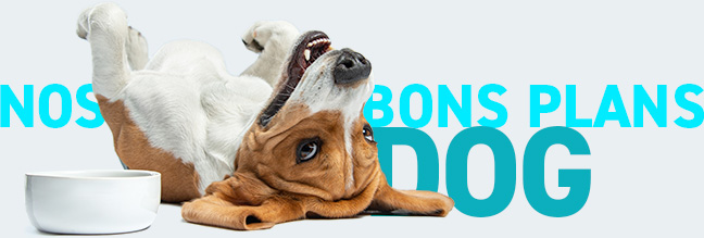 Code promo alimentation du chien