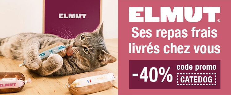 Code promo Elmut et avis vétérinaire pour le chat