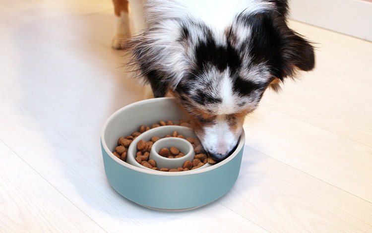 Gamelle anti-glouton en céramique pour chien qui mange trop vite
