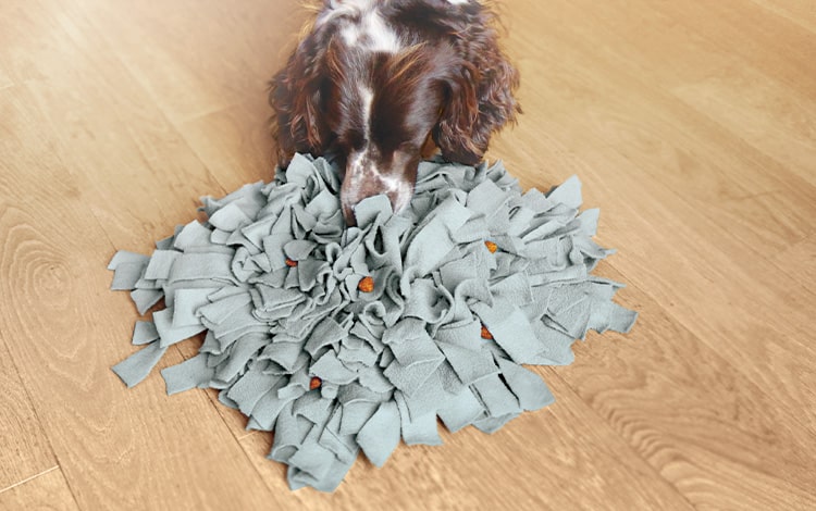 Tapis de fouille pour chien