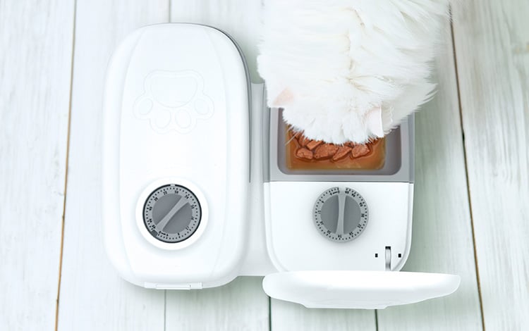 Distributeur automatique réfrigérant pour chat sans dents