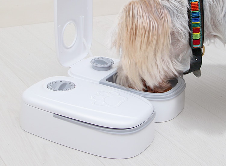 Distributeur automatique réfrigérant pour chien sans dents