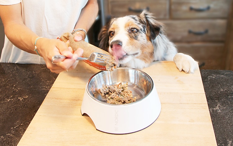 Avis vétérinaire et code promo Dog Chef chien