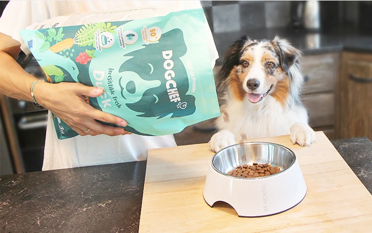 Avis vétérinaire et code promo Dog Chef chien