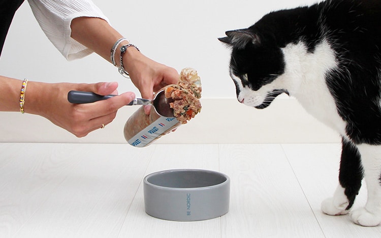 Avis vétérinaire et code promo Elmut chat