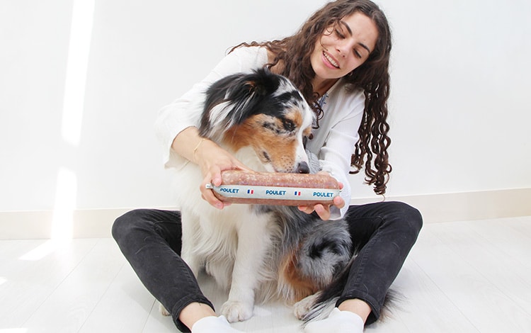 Avis vétérinaire et code promo Elmut chien