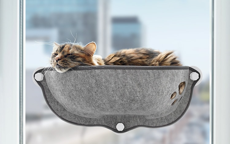 Hamac de fenêtre pour chat