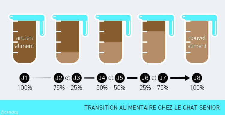 Transition alimentaire chez le chat senior