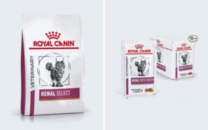 Alimentation en croquettes ou pâtée pour le chat souffrant d'insuffisance rénale