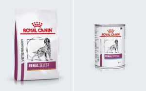 Alimentation en croquettes ou pâtée pour le chien souffrant d'insuffisance rénale