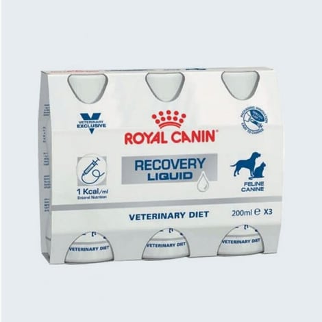 Aliment diététique thérapeutique Recovery Liquid