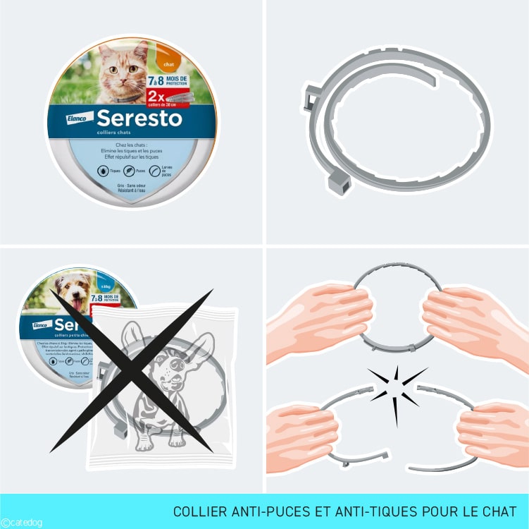 Collier anti-puces et anti-tiques Seresto pour le chat