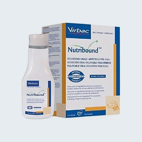 Complément alimentaire Nutribound pour stimuler la prise alimentaire chez le chien cancéreux