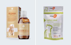 Complément alimentaire pour le chat souffrant d'insuffisance rénale