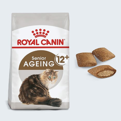 Croquettes molles pour chat senior sans dents