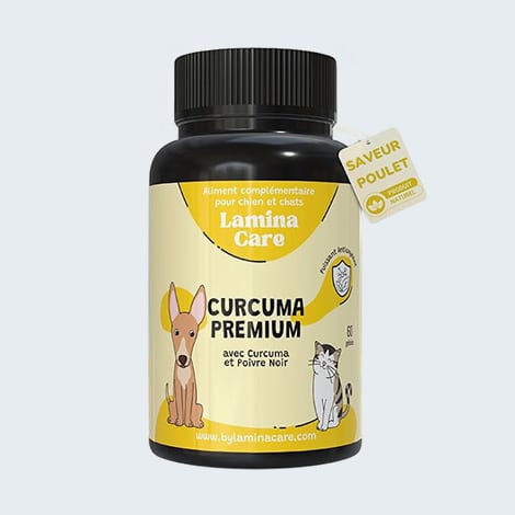 Curcuma premium contre l'arthrose du chien et du chat