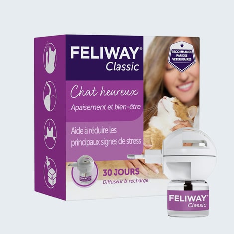 Diffuseur de phéromones appaisantes Feliway pour chat qui fait pipi partout, mord ou griffe