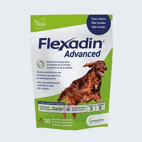hondroprotecteur Flexadin Advanced contre l'arthrose du chien