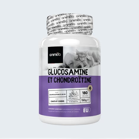 Glucosamine et chondroïtine contre l'arthrose chez le chien et le chat