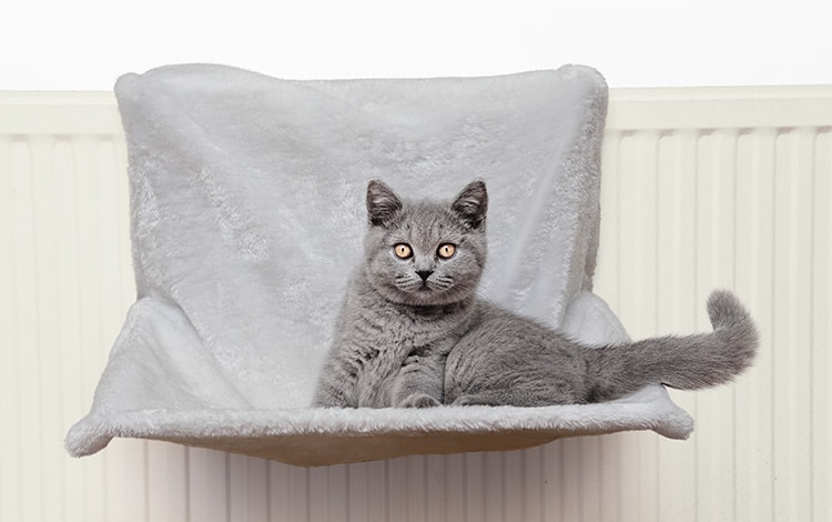 Hamac ou transat de radiateur pour chat