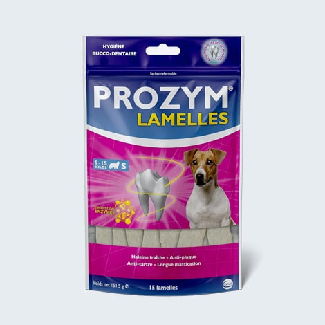 Lamelles à mâcher pour nettoyer les dents du chien et chat Prozym