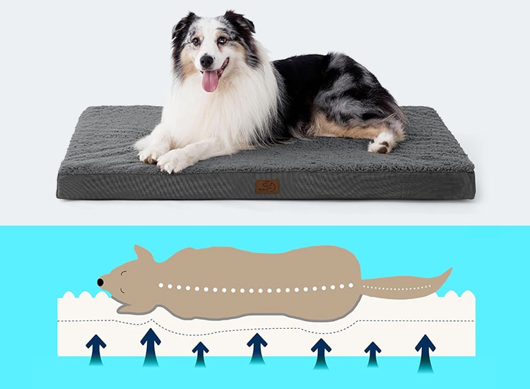 Matelas orthopédique à mémoire de forme pour le chien souffrant d’arthrose