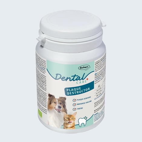 Poudre pour nettoyer les dents du chien et chat Bubimex