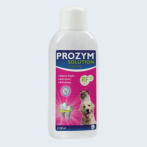 Solution liquide pour nettoyer les dents du chien et chat Prozym