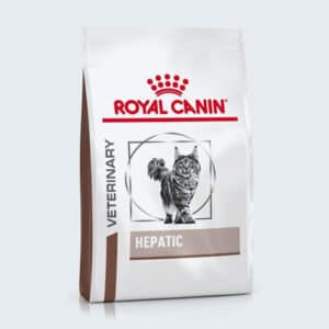 Alimentation du chat en insuffisance hépatique Royal Canin