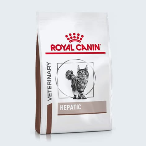 Alimentation du chat en insuffisance hépatique Royal Canin