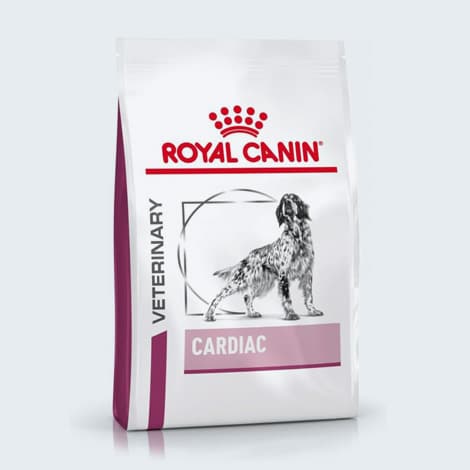 Alimentation pour le chien cardiaque