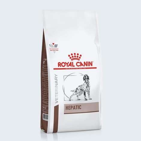 Alimentation du chien en insuffisance hépatique Royal Canin