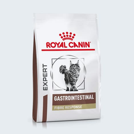 Alimentation gastro intestinale fibre response pour chat