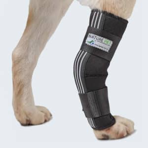 Attelle de protection de l'articulation tarso-métatarsienne du chien - Nature Pet