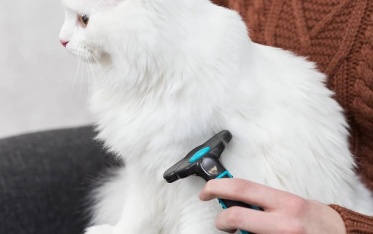 Brosse carde anti-mue et anti boules de poils pour chat