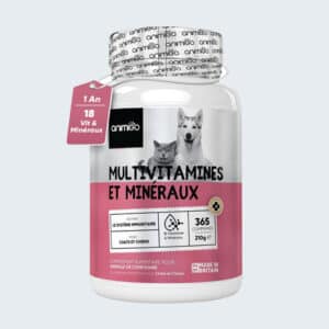complement alimentaire vitamines et mineraux pour les defenses immunitaires du chien et chat