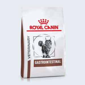 Croquettes Gastrointestinal Royal Canin pour chat