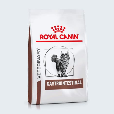 Croquettes Gastrointestinal Royal Canin pour chat
